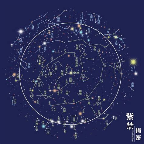 星圈定情意 斗數